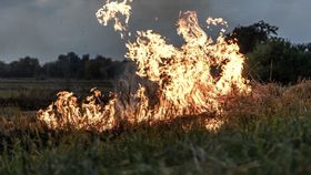 VIDEO Marsilia, în pericol din cauza incendiilor de vegetație. Al doilea cel mai mare oraș al Franței este în pericol